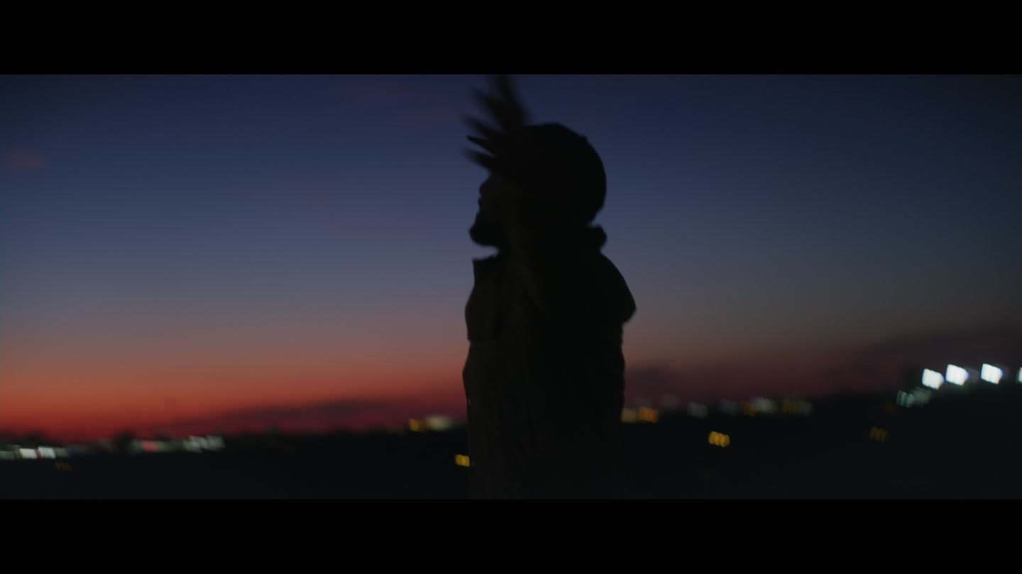 A silhouetted figure beside a field at sunset.